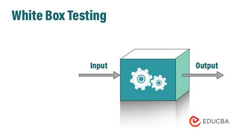 how to test white paper in software testing|white box testing definition.